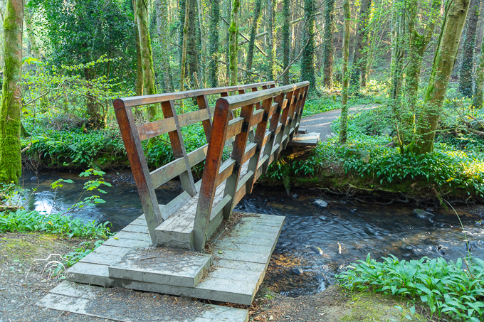 Tintern Foot Bridge